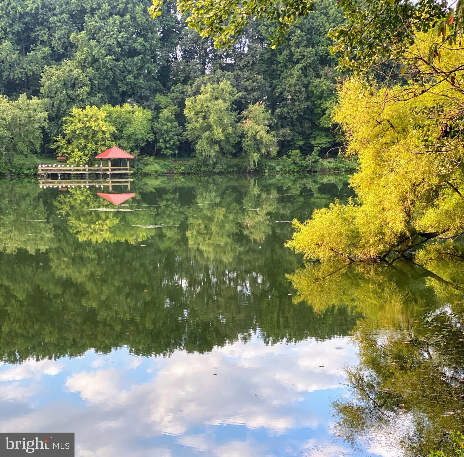 7250 Lasting Way Columbia, MD 21045 - Photo 39 of 39 Tranquil waters reflect nature's beauty.