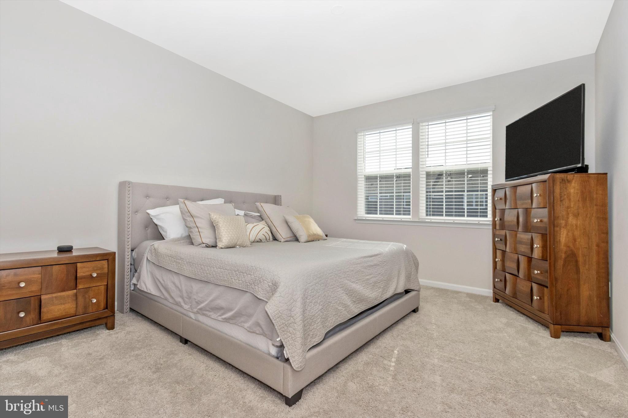 6930 Representation Lane Frederick, MD 21703 - Photo 17 of 39 Owners Suite