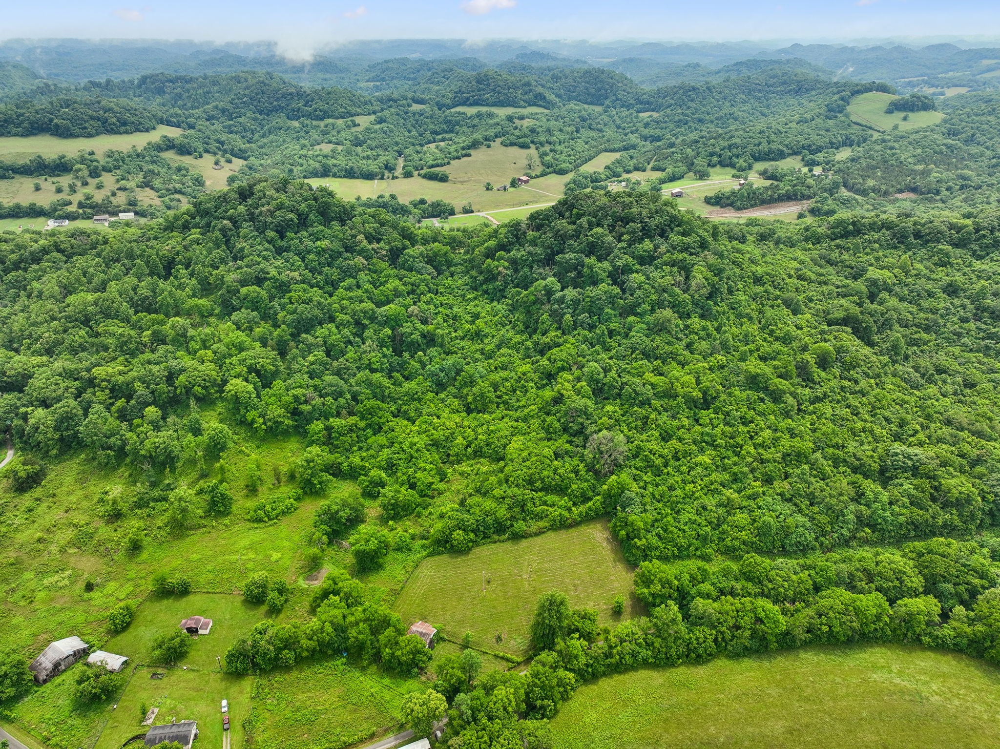 0 Little Salt Lick Creek Road Carthage, TN 37030 - Photo 15 of 17