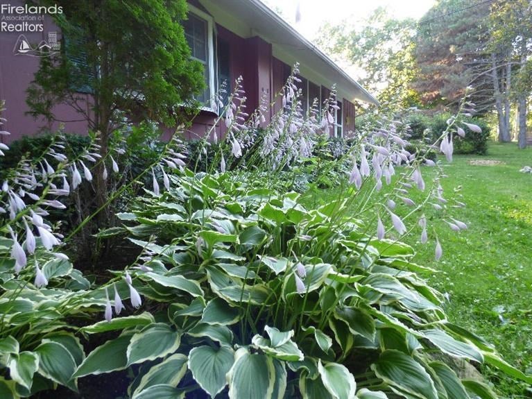 40 Airline Road Put In Bay, OH 43456 - Photo 2 of 10 Gallery Image 2