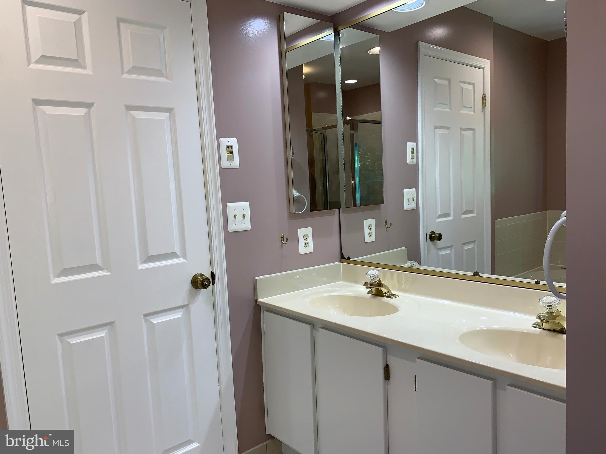 102 Spring Pl Way Annapolis, MD 21401 - Photo 12 of 27 Ensuite Master Bath