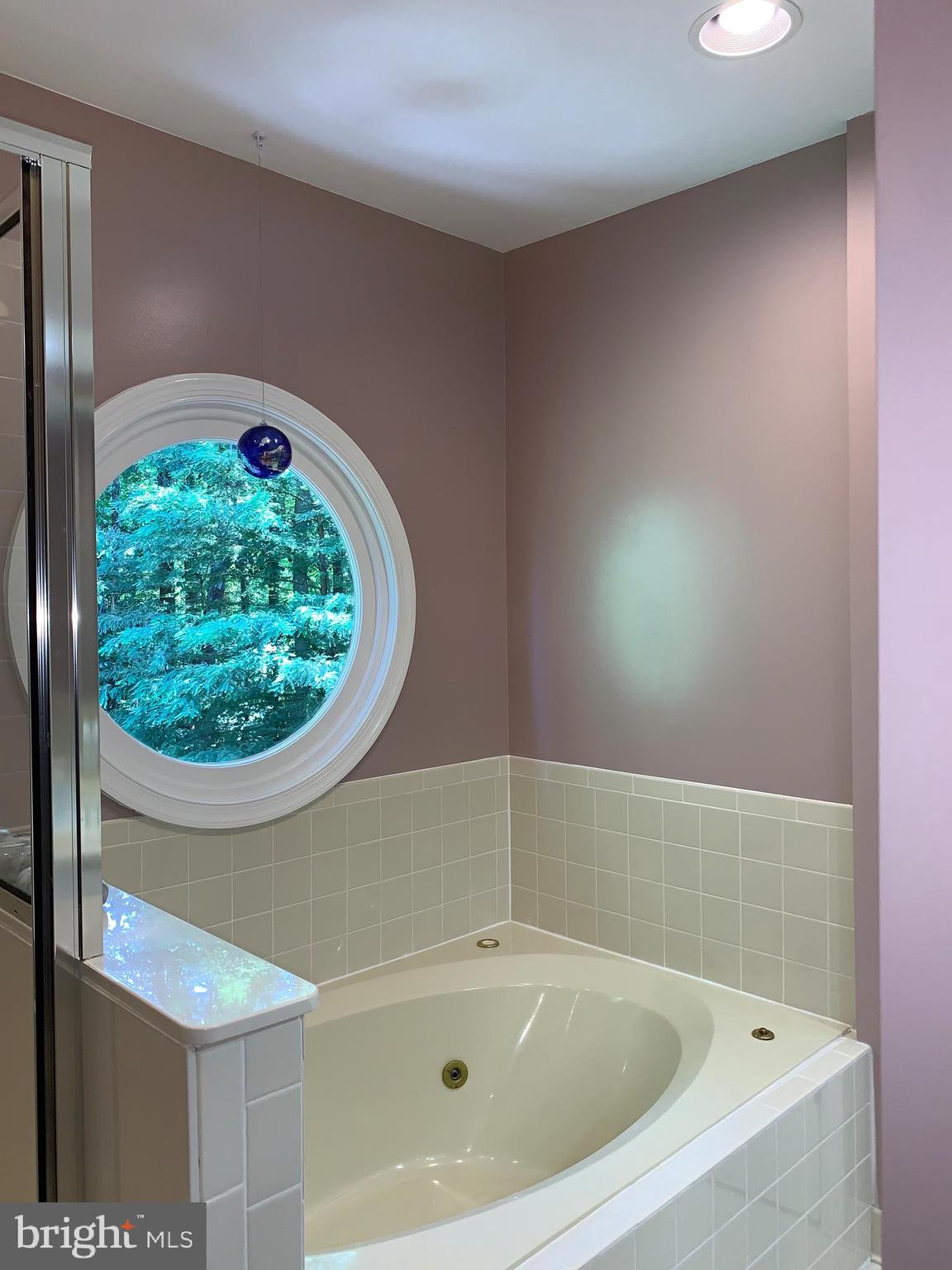102 Spring Pl Way Annapolis, MD 21401 - Photo 13 of 27 Ensuite Master Bath