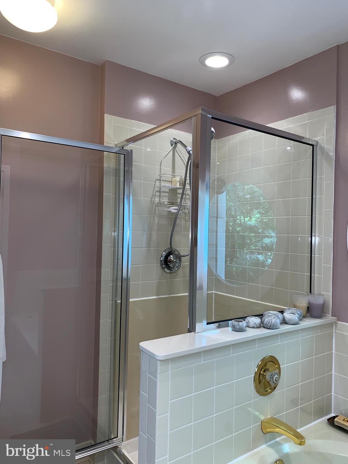 102 Spring Pl Way Annapolis, MD 21401 - Photo 14 of 27 Ensuite Master Bath