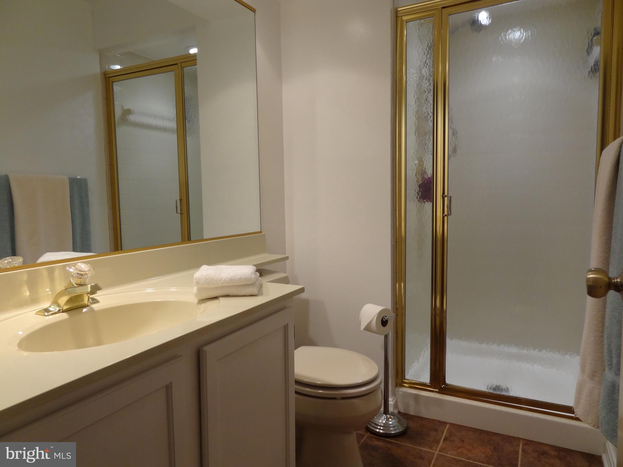 102 Spring Pl Way Annapolis, MD 21401 - Photo 22 of 27 Bedroom 4 Ensuite Bath