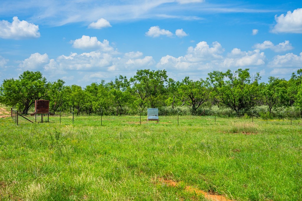 7602 County Road 113 Llano, TX 78643 - Photo 20 of 69