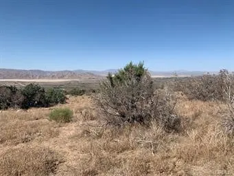 0 Emerald Road Irvine, CA 92614 - Photo 3 of 10 a view of a yard