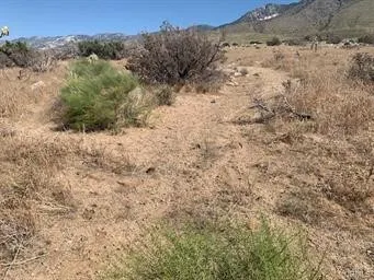 0 Emerald Road Irvine, CA 92614 - Photo 8 of 10 a view of a dry space with lots of trees