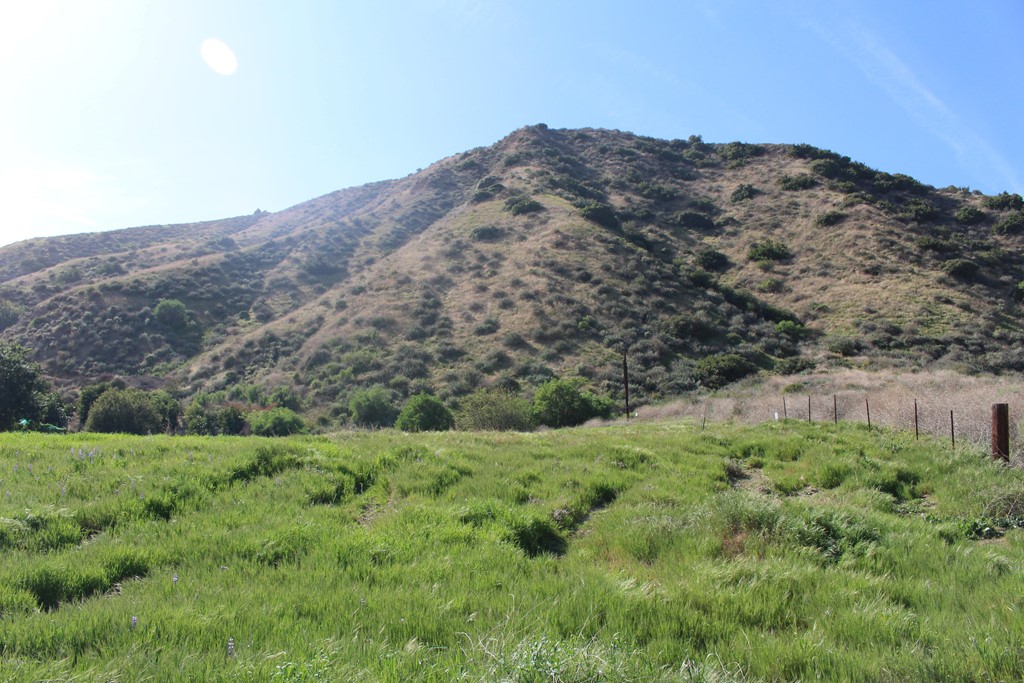 0 Hopper Canyon Road Fillmore, CA 93040 - Photo 1 of 1 a view of a lush green hillside and a building