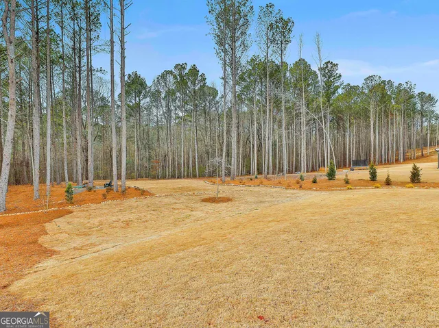 $769,900 | 171 Huiet Drive, Fayetteville, GA 30215