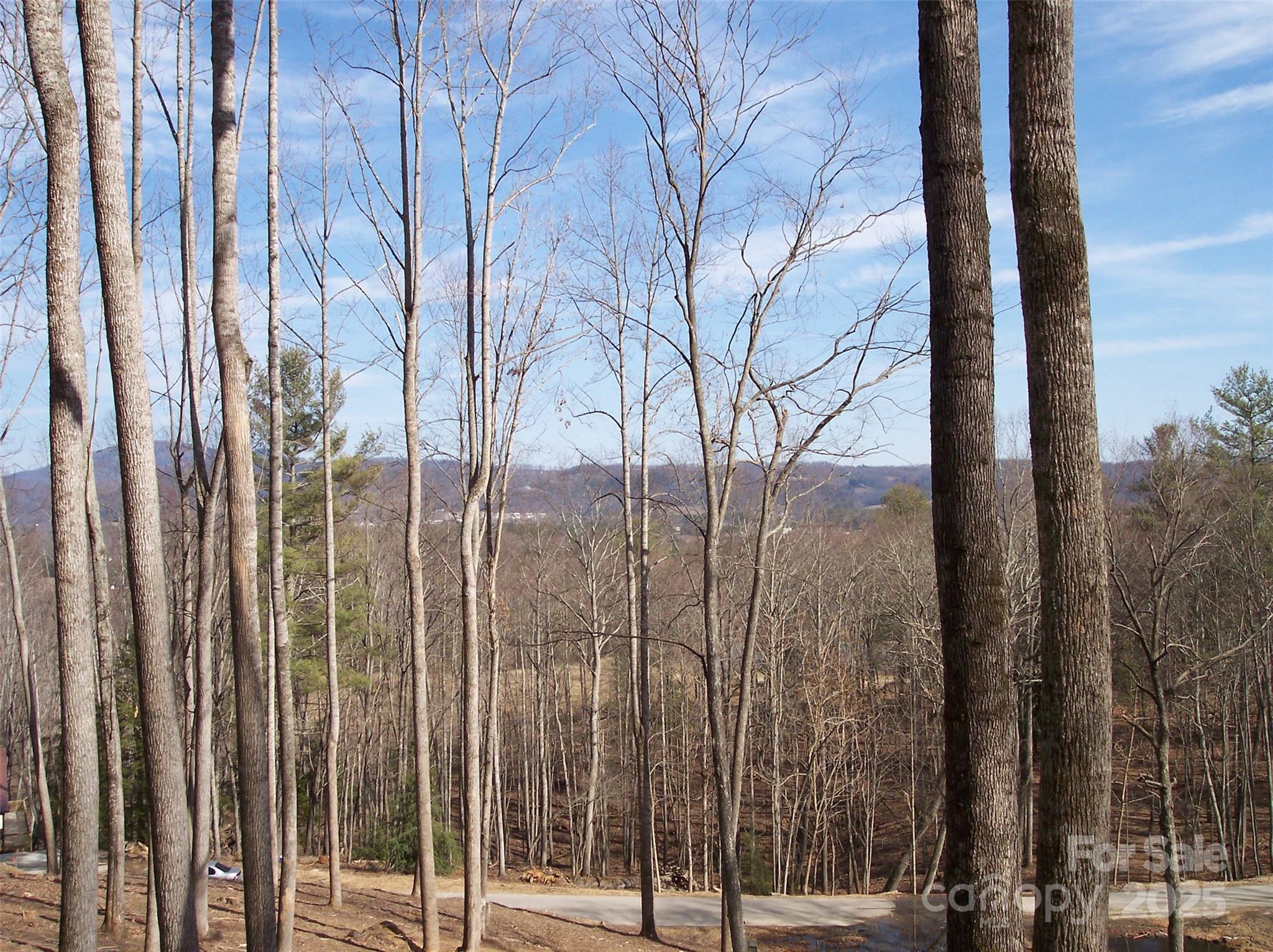 0 Tatham Road Hendersonville, NC 28792 - Photo 3 of 6 Gallery Image 3