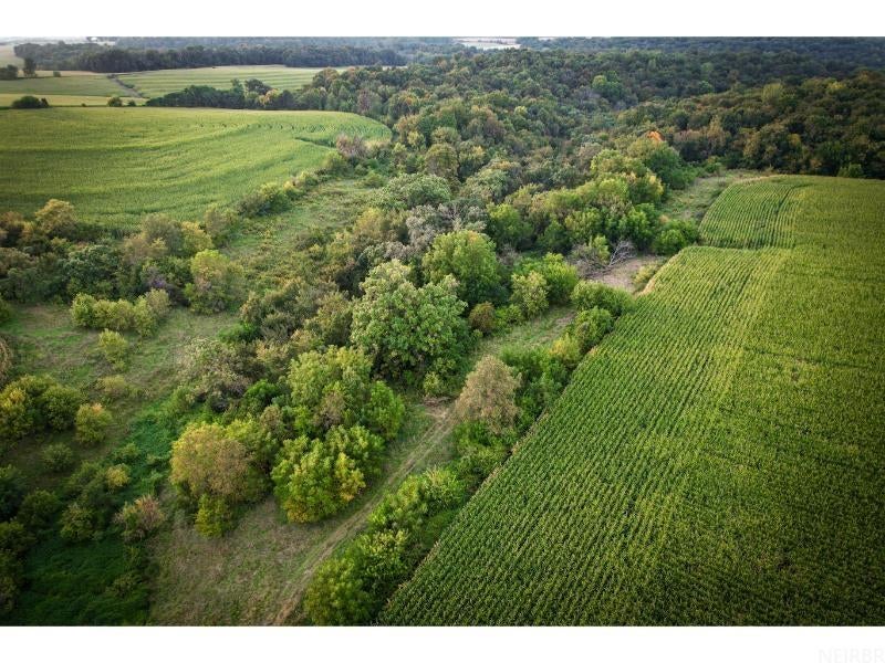 0 Gold Mine Road McGregor, IA 52157 - Photo 13 of 27 Gallery Image 13