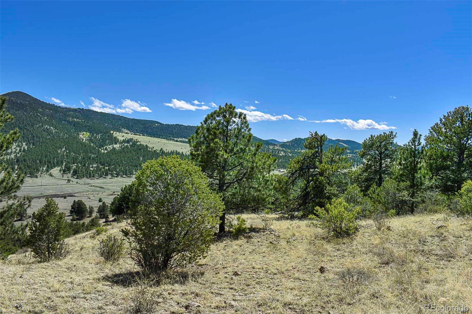 87 Wagonwheel Road Guffey, CO 80820 - Photo 1 of 25 Gallery Image 1