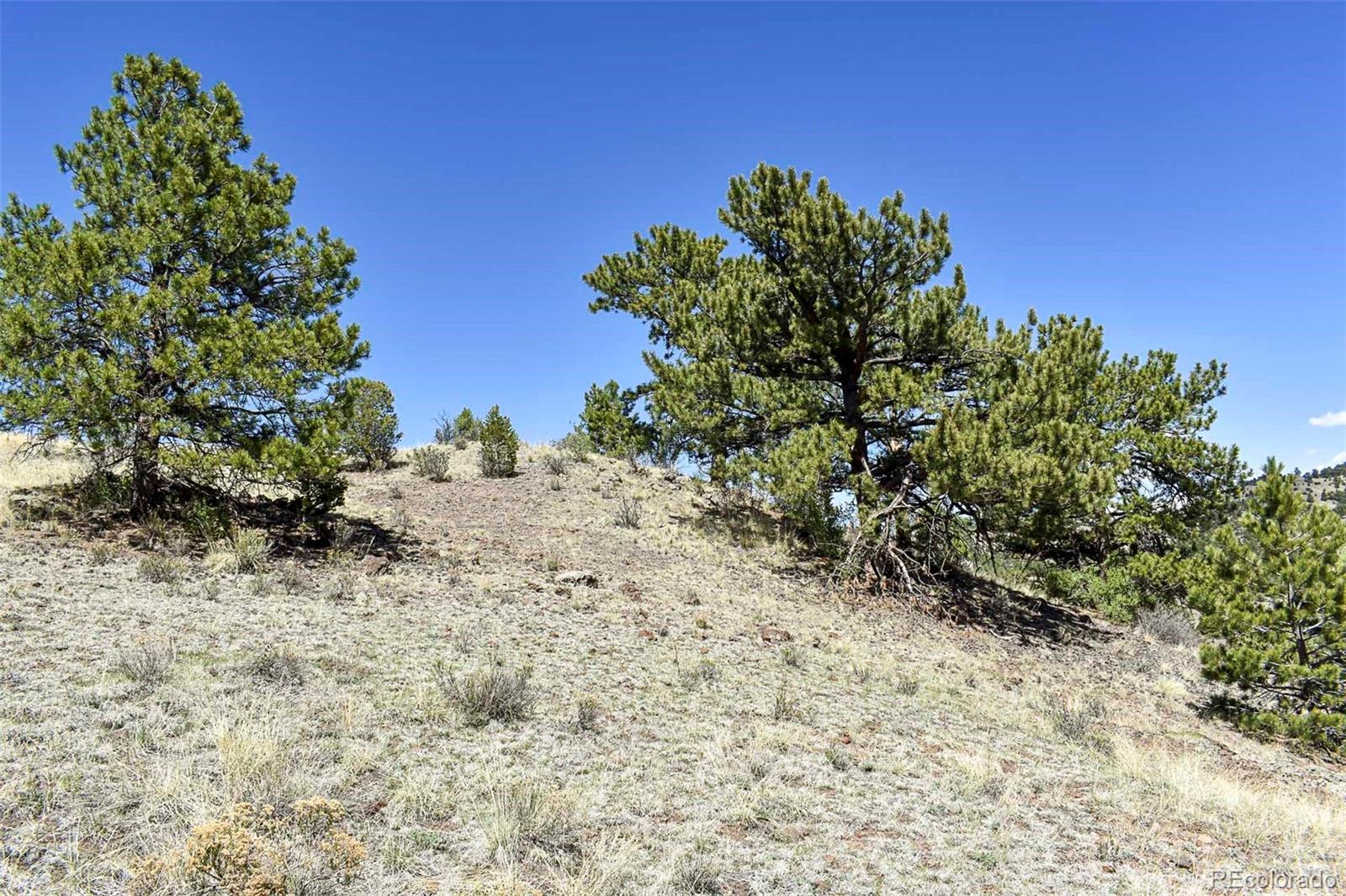 87 Wagonwheel Road Guffey, CO 80820 - Photo 12 of 25 Gallery Image 12