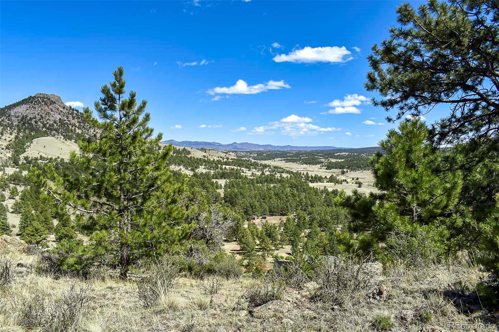 87 Wagonwheel Road Guffey, CO 80820 - Photo 2 of 25 Gallery Image 2
