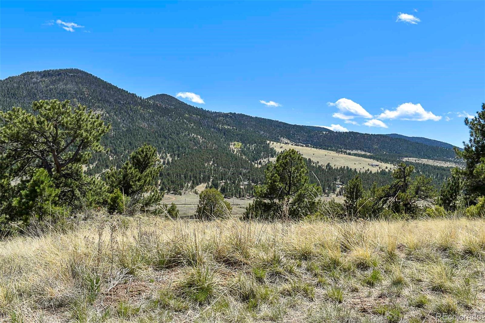 87 Wagonwheel Road Guffey, CO 80820 - Photo 21 of 25 Gallery Image 21