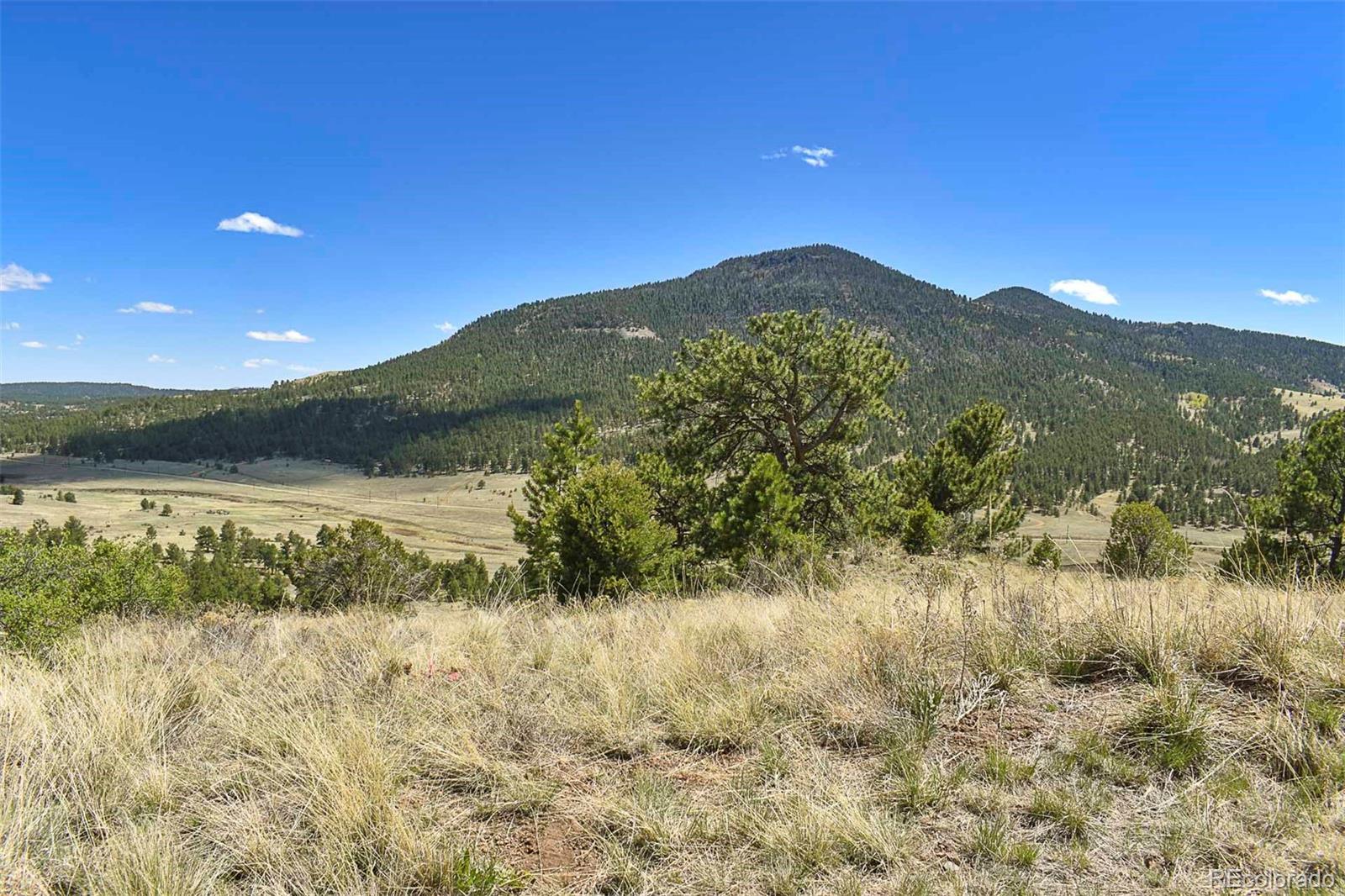 87 Wagonwheel Road Guffey, CO 80820 - Photo 22 of 25 Gallery Image 22