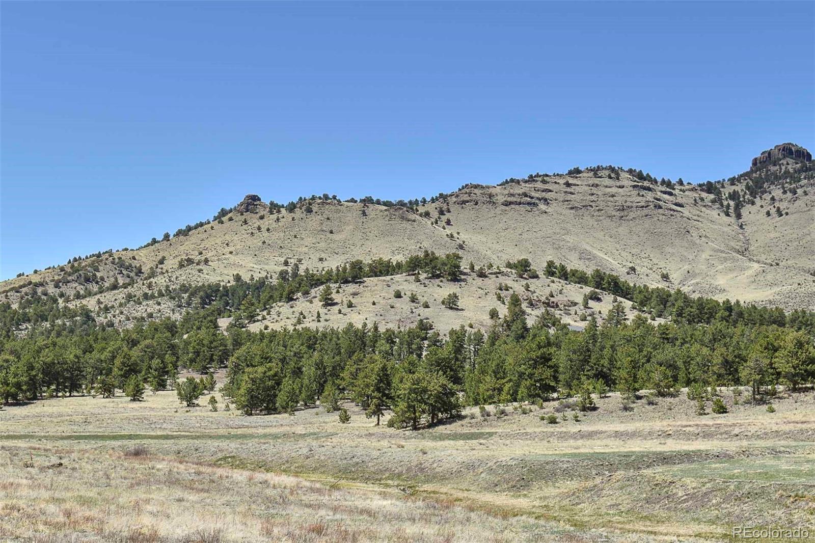 87 Wagonwheel Road Guffey, CO 80820 - Photo 23 of 25 Gallery Image 23