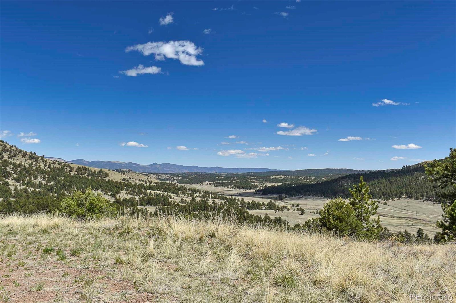 87 Wagonwheel Road Guffey, CO 80820 - Photo 3 of 25 Gallery Image 3