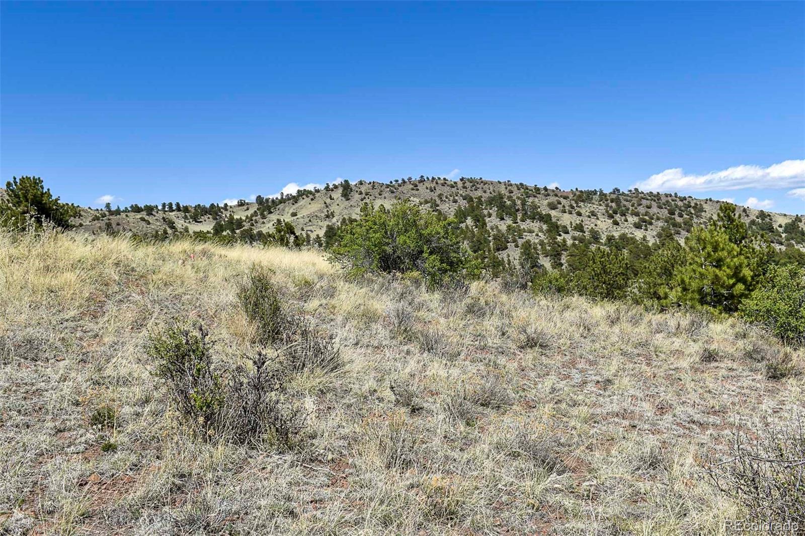 87 Wagonwheel Road Guffey, CO 80820 - Photo 7 of 25 Gallery Image 7
