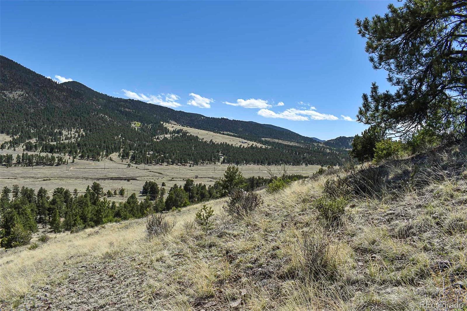 87 Wagonwheel Road Guffey, CO 80820 - Photo 8 of 25 Gallery Image 8