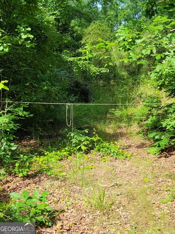 a view of a garden with plants