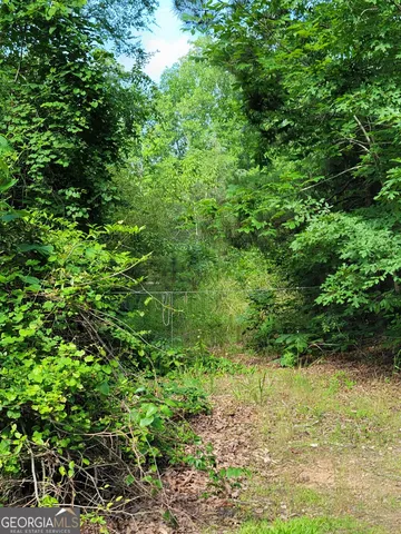 a view of yard with green space