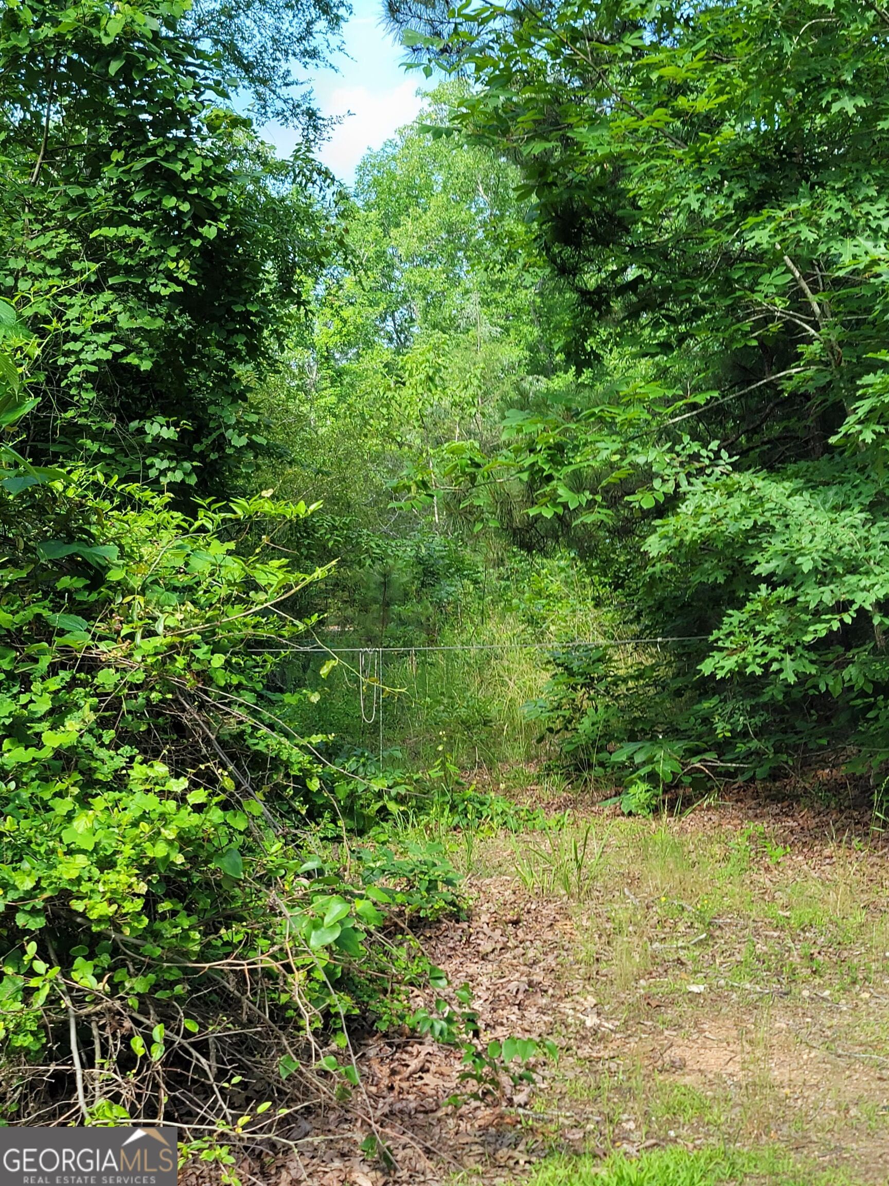 355 Chuli Road Griffin, GA 30223 - Photo 3 of 16 a view of a garden with plants