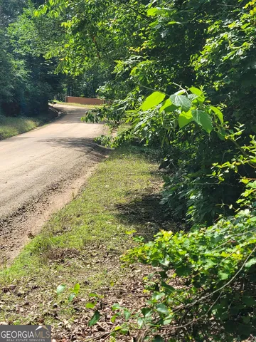 a view of a lush green forest