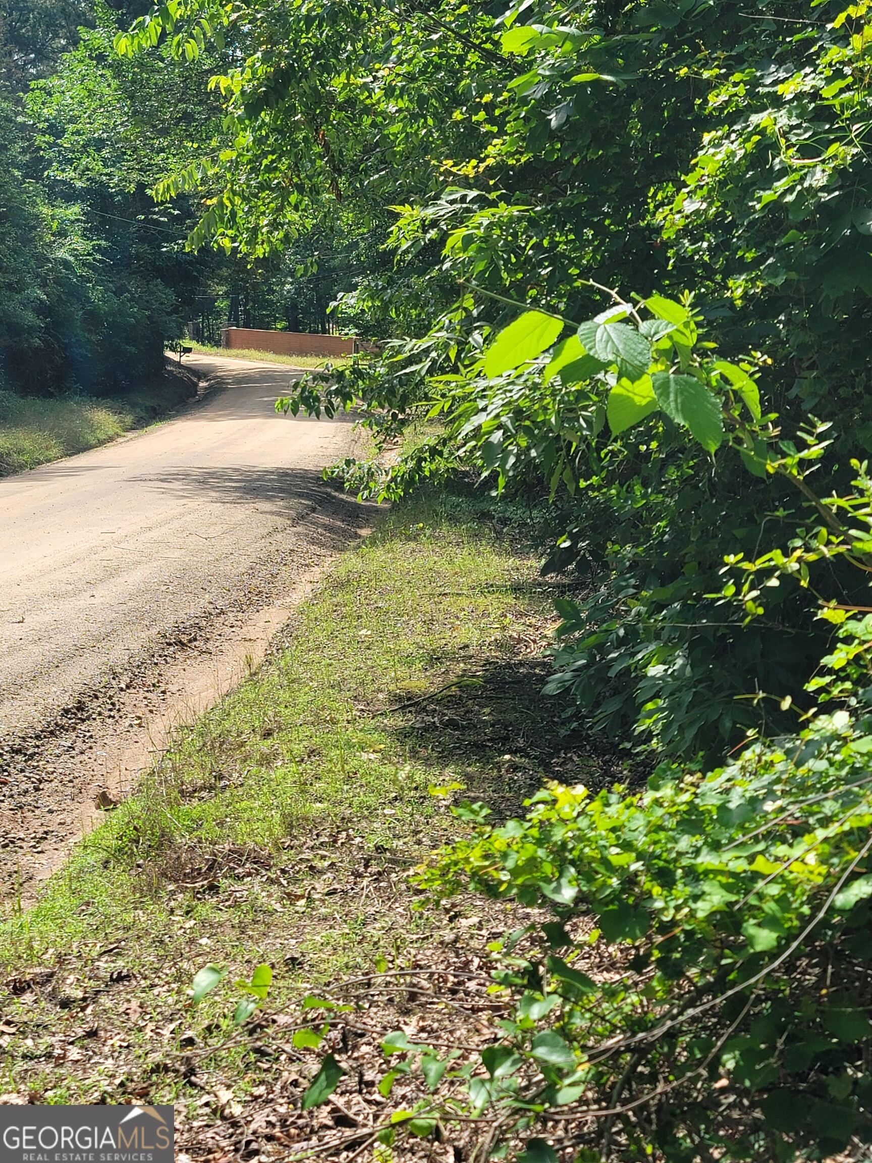 355 Chuli Road Griffin, GA 30223 - Photo 4 of 16 a view of yard with green space