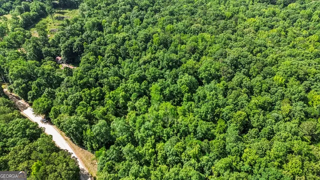 a view of a bird bath