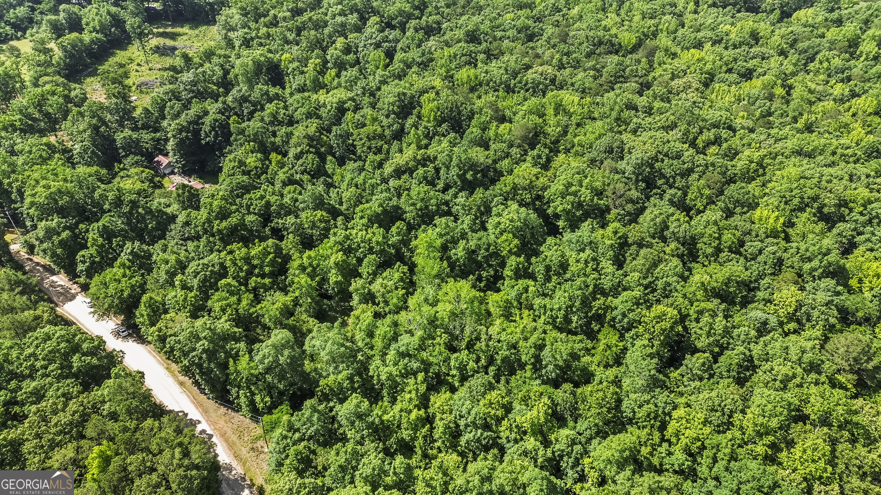 355 Chuli Road Griffin, GA 30223 - Photo 5 of 16 a view of a lush green forest