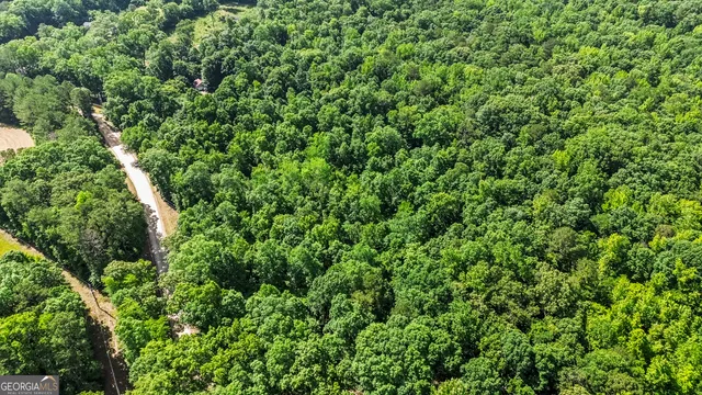 front view of a house with a garden