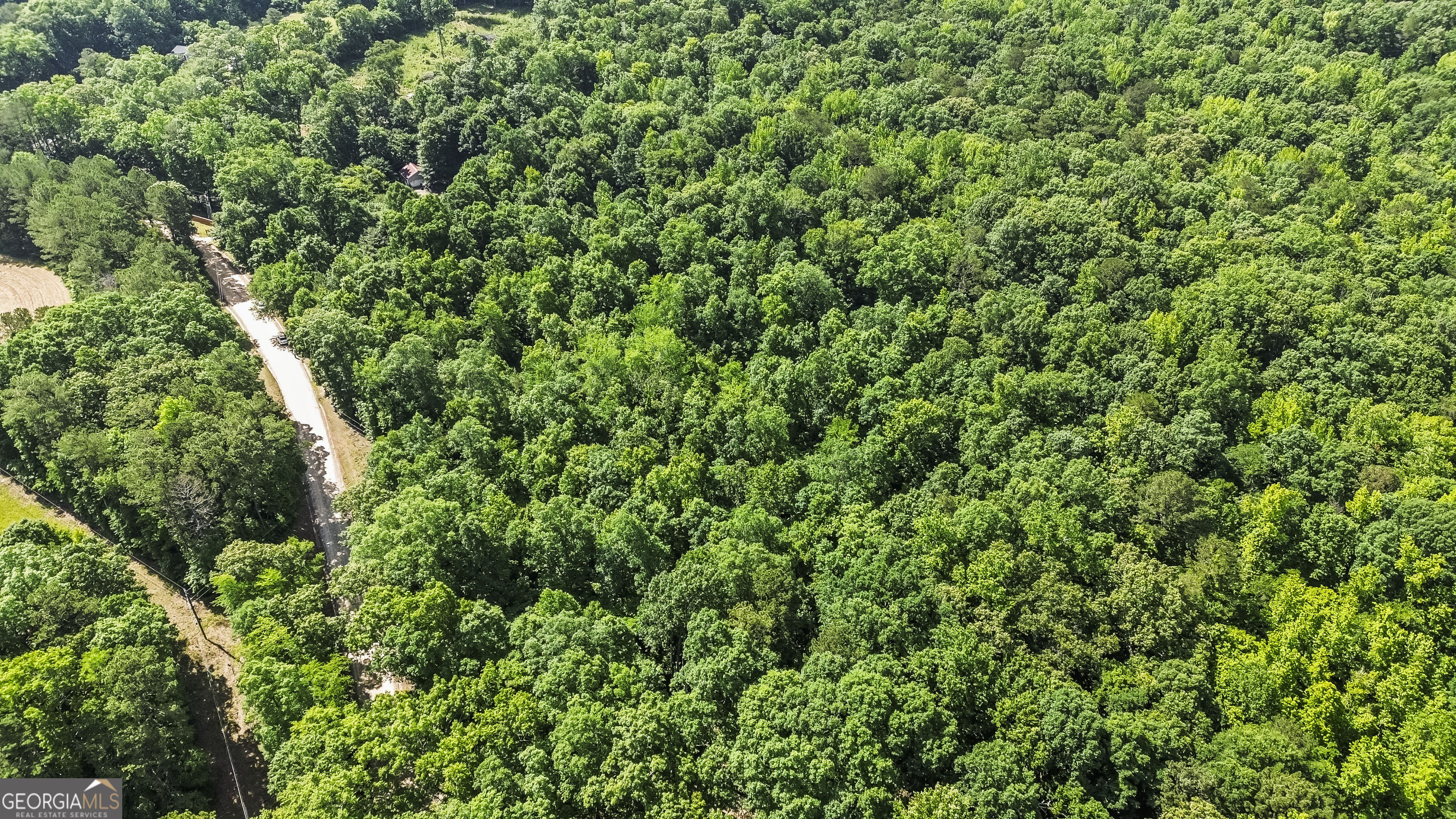 355 Chuli Road Griffin, GA 30223 - Photo 8 of 16 a view of a lush green forest
