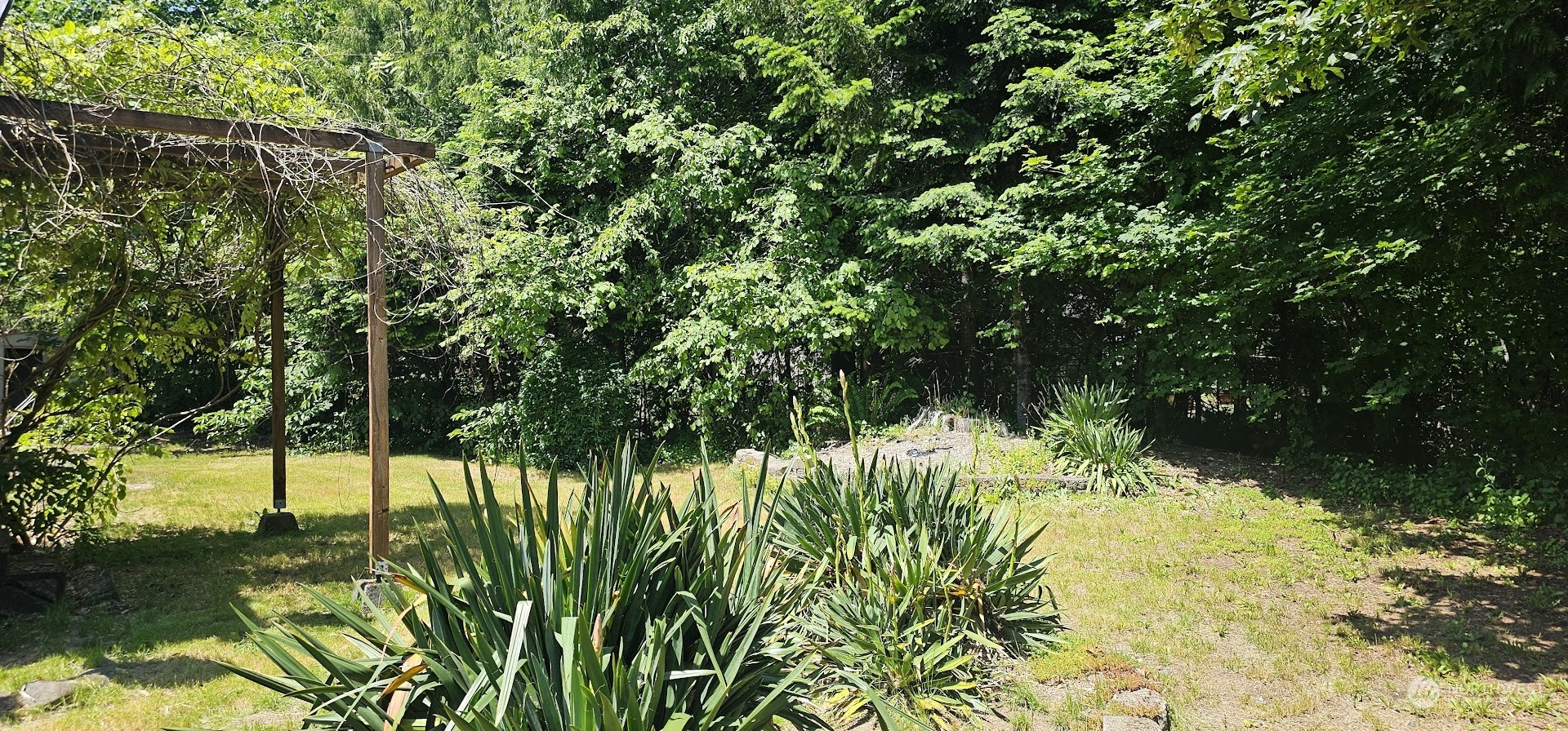 50 Gran Road Brinnon, WA 98320 - Photo 6 of 28 Gallery Image 6