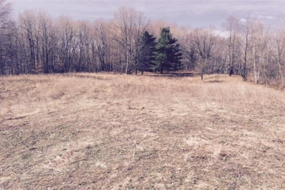 20 20 Mile Road Evart, MI 49631 - Photo 2 of 6 2 Food Plot-WR