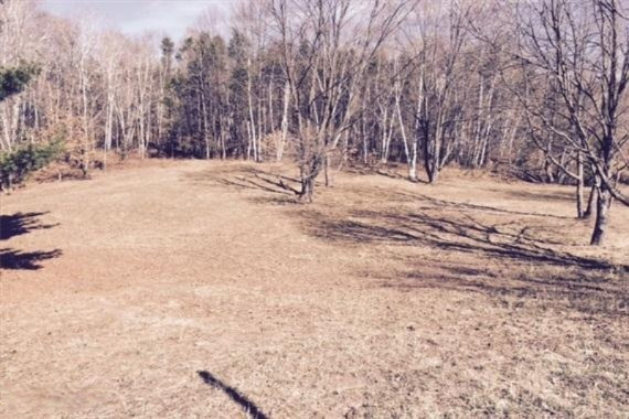 20 20 Mile Road Evart, MI 49631 - Photo 3 of 6 3 Food Plot--WR