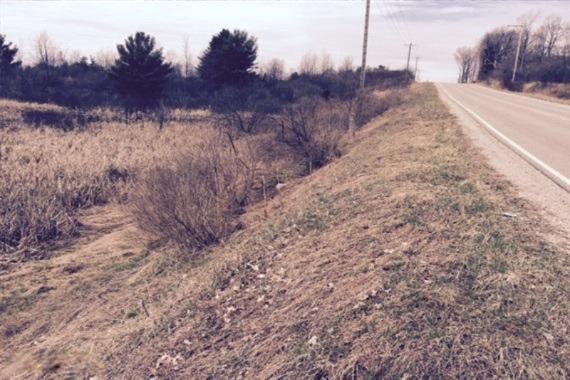 20 20 Mile Road Evart, MI 49631 - Photo 6 of 6 6 Road Frontage-WR