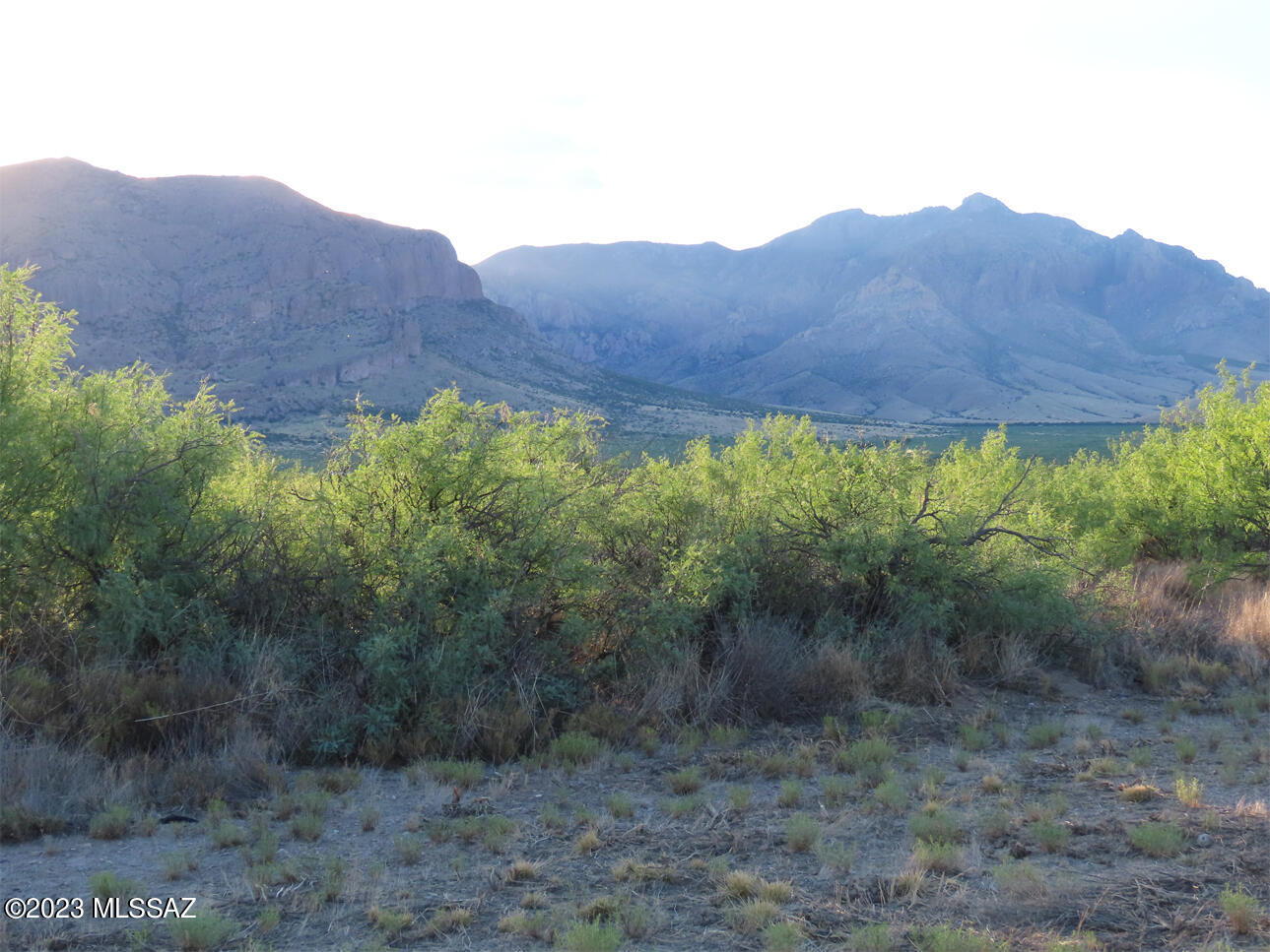 8724 Blacktail Road, Unit 75 San Simon, AZ 85632 - Photo 3 of 10 Gallery Image 3