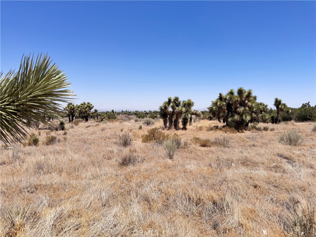 0 Sunnyslope Road Phelan, CA 92371 - Photo 11 of 18