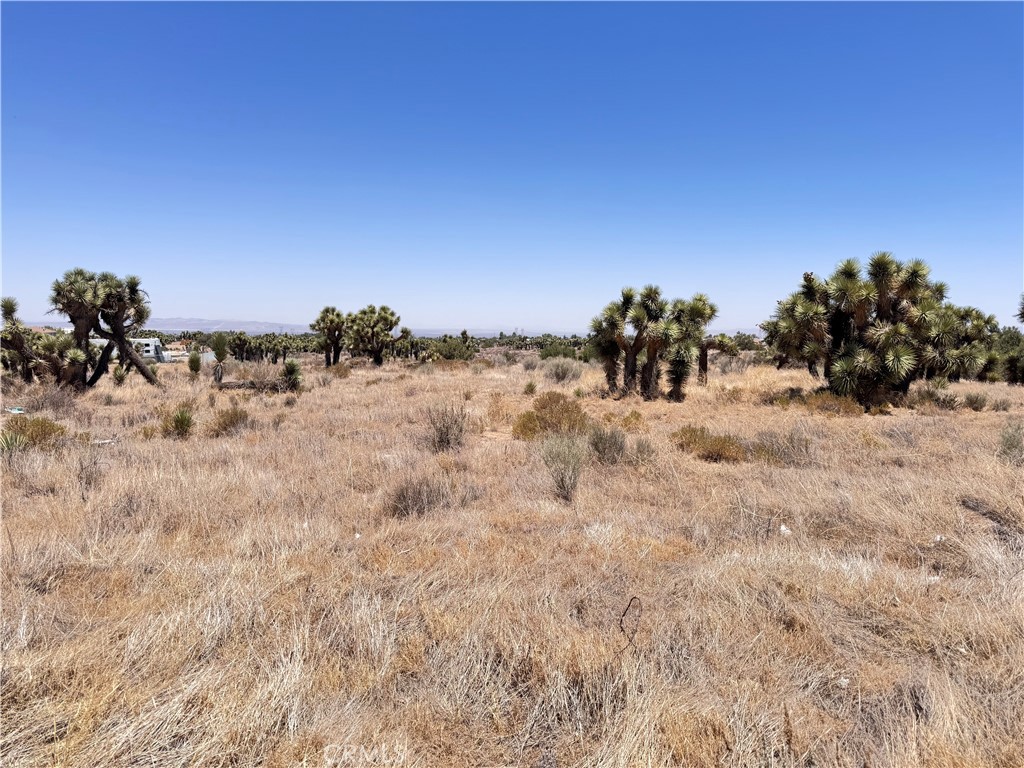 0 Sunnyslope Road Phelan, CA 92371 - Photo 12 of 18