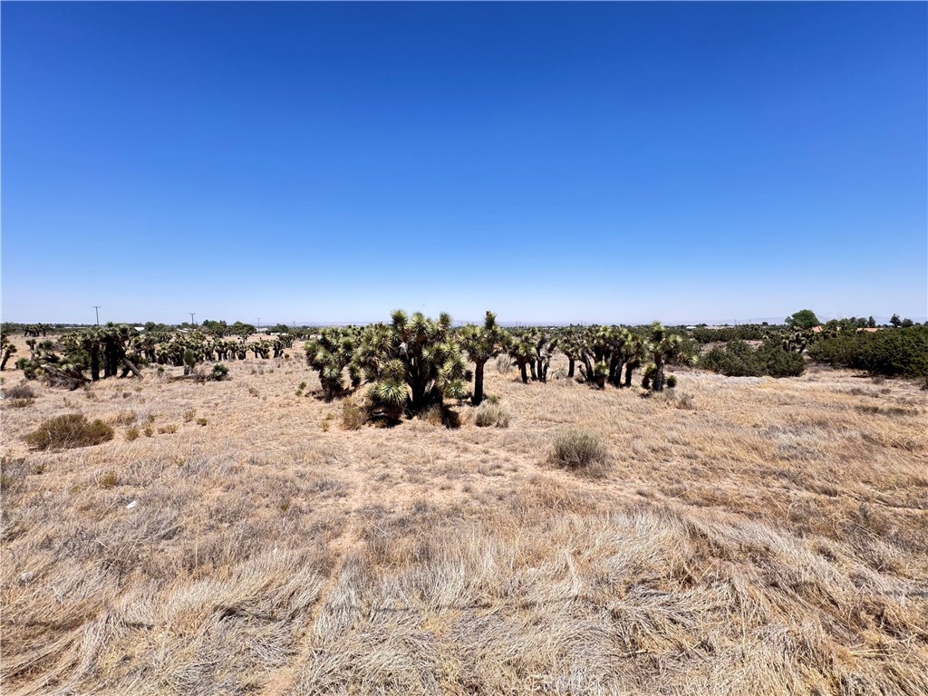 0 Sunnyslope Road Phelan, CA 92371 - Photo 13 of 18