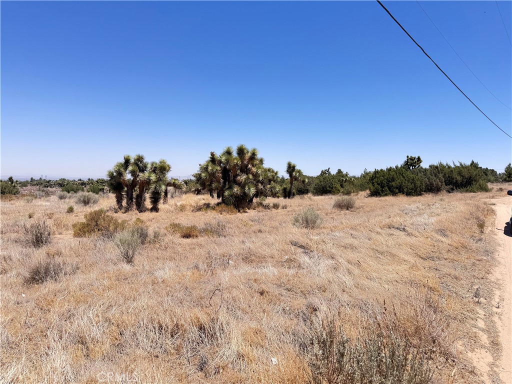 0 Sunnyslope Road Phelan, CA 92371 - Photo 2 of 18