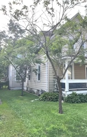 a backyard of a house with plants and large tree