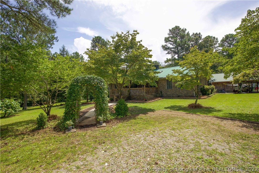 327 Scott Road Cameron, NC 28326 - Photo 40 of 48 a view of a yard with a tree