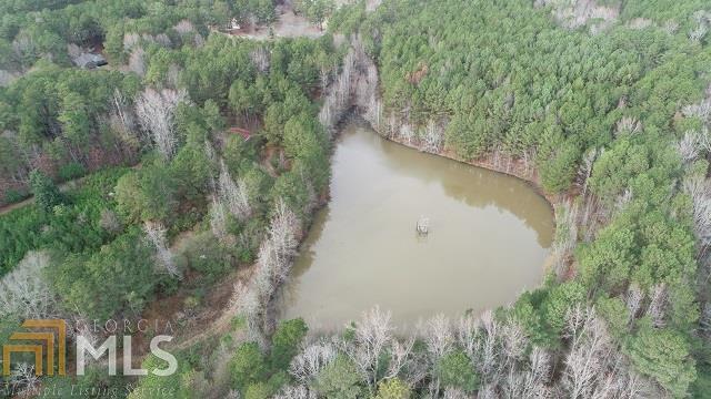 2342 Highway 34 Newnan, GA 30265 - Photo 2 of 6 a view of a lake