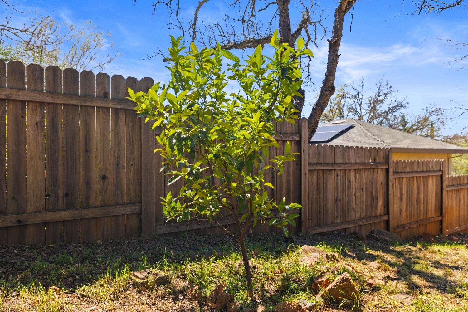 3889 Rustic Road Cameron Park, CA 95682 - Photo 43 of 55