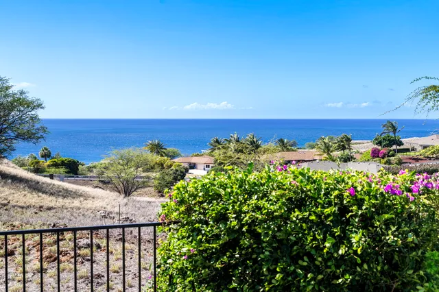 a view of a backyard with plants and palm trees