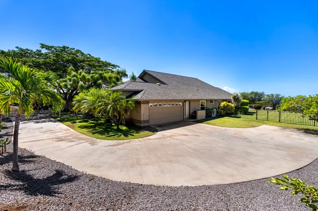 a view of a potted plants from a window