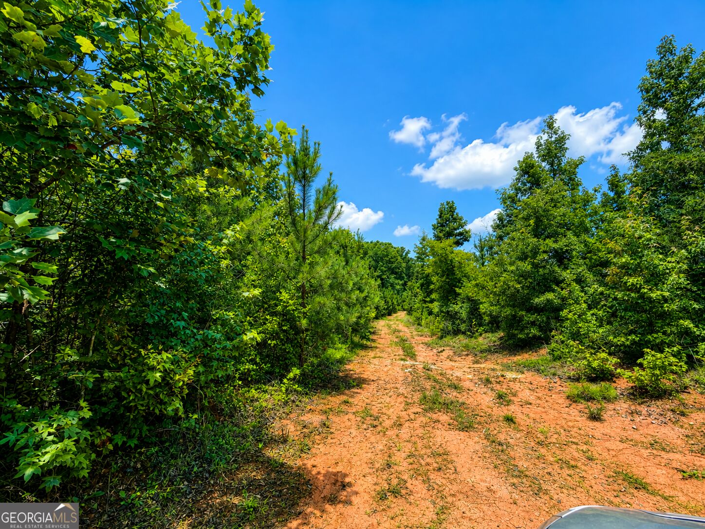 47-acres Cochran Road Madison, GA 30650 - Photo 17 of 22 Gallery Image 17