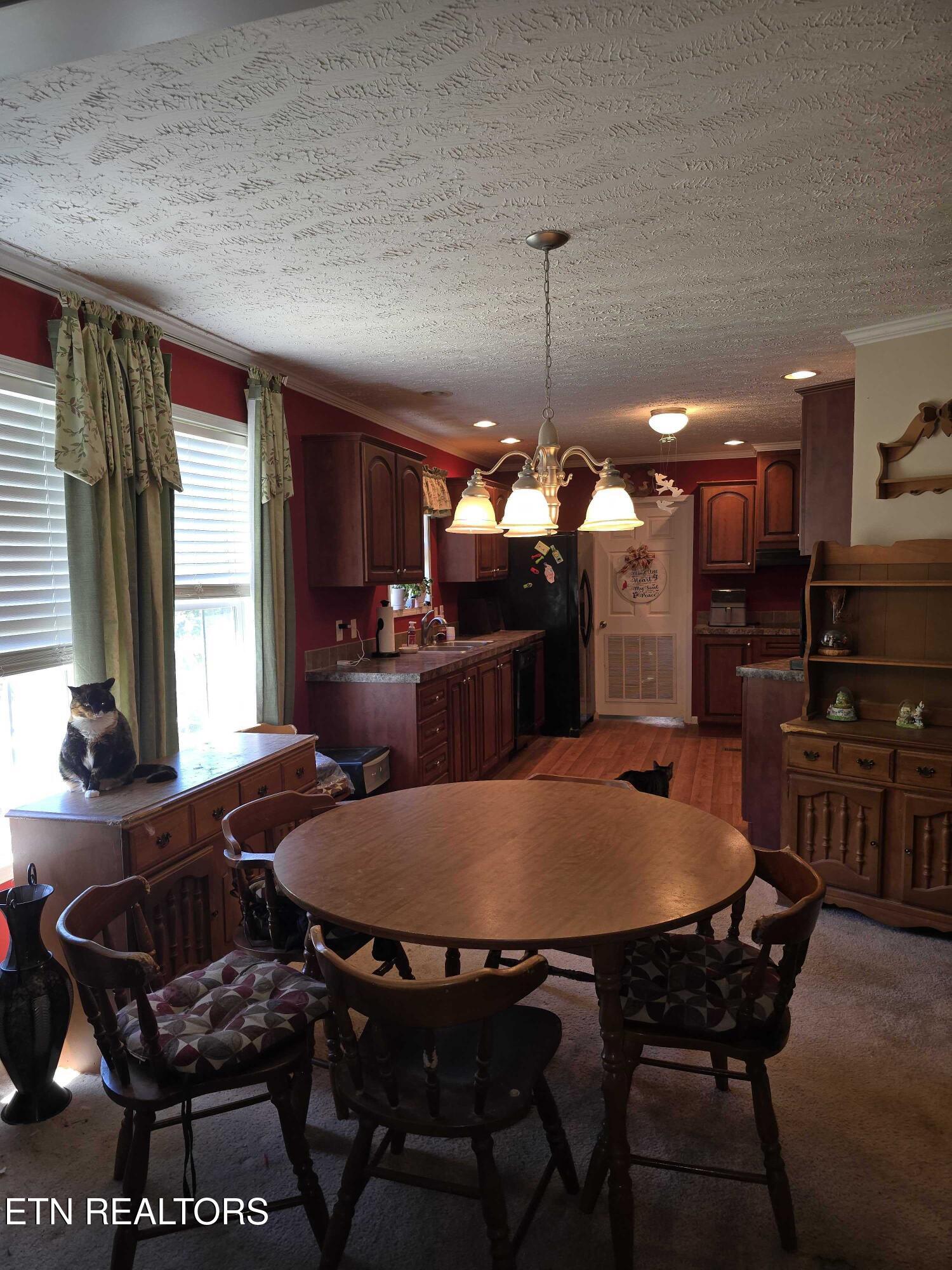 1338 Central Point Road Rutledge, TN 37861 - Photo 9 of 17 9